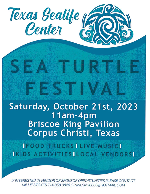 Sea Turtle Festival