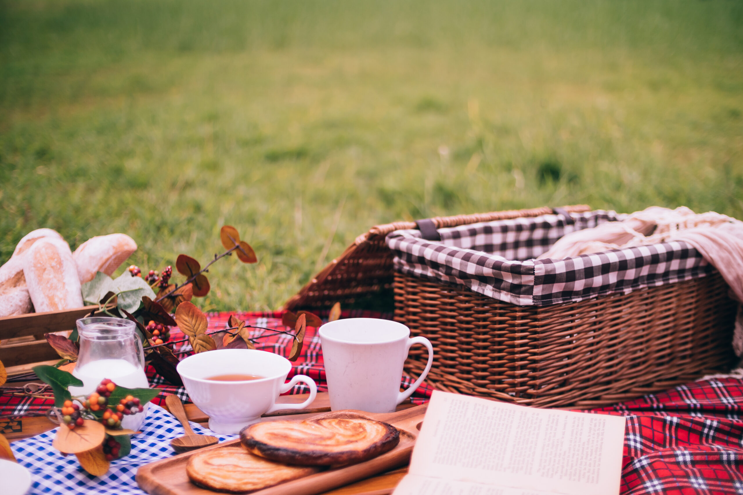 Welcome Back Winter Texan Picnic