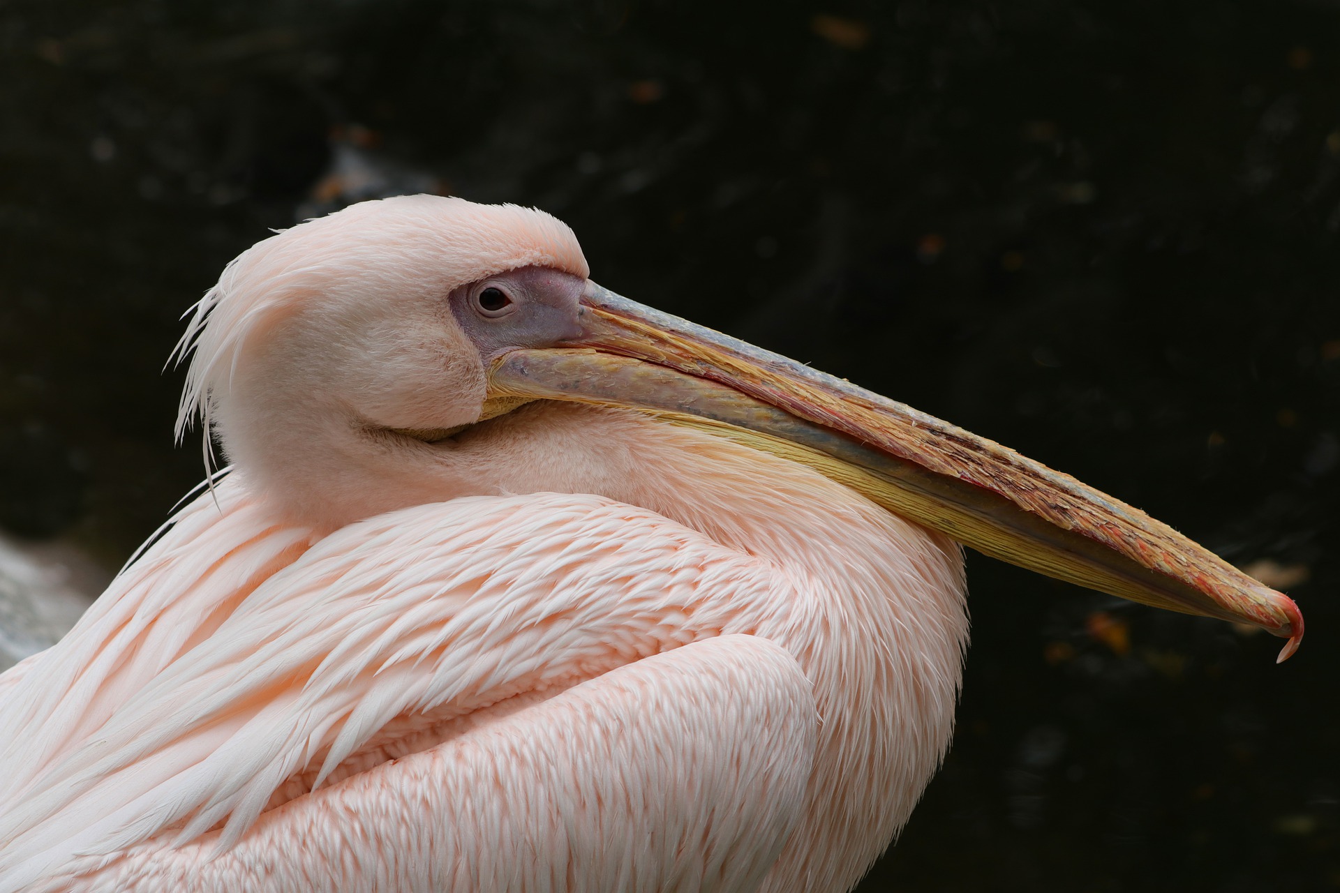 Top Spring Events in Port Aransas, TX Port Aransas Texas
