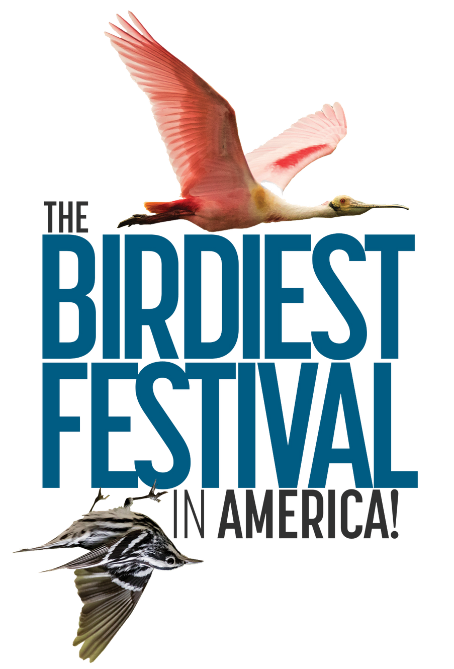 Birdiest Festival In America