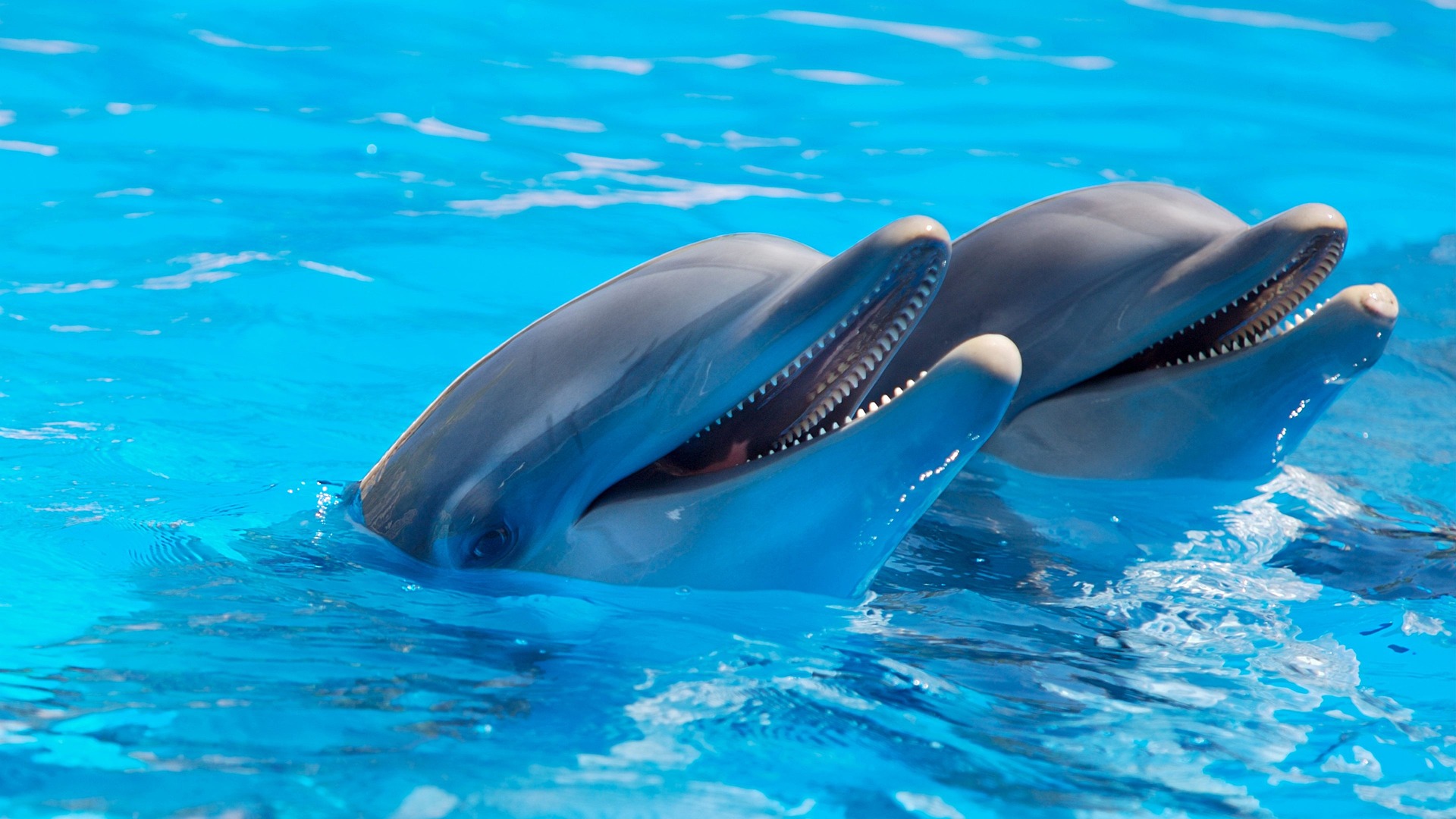 Enjoy water activities in Port Aransas