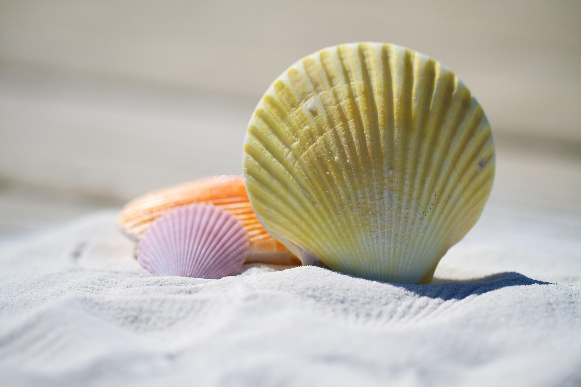 Enjoy these Port Aransas attractions