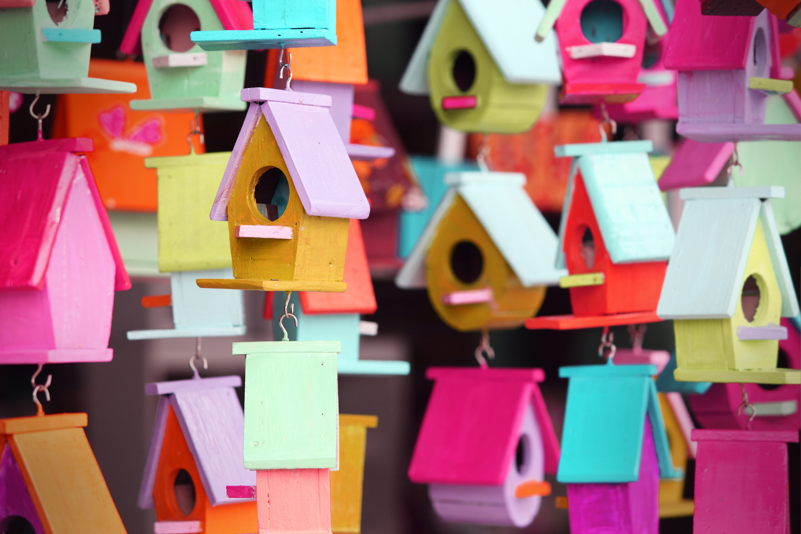 Family Craft Time: Bird Feeders