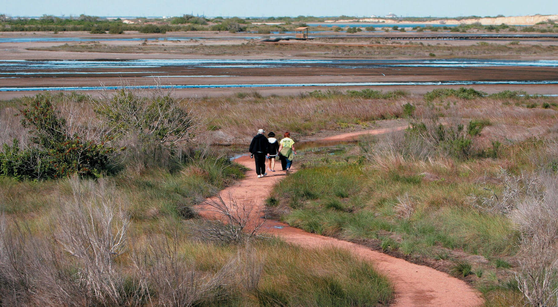 Salt Water Trail Walk @ Charlie’s Pasture
