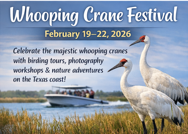 Port Aransas Whooping Crane Festival